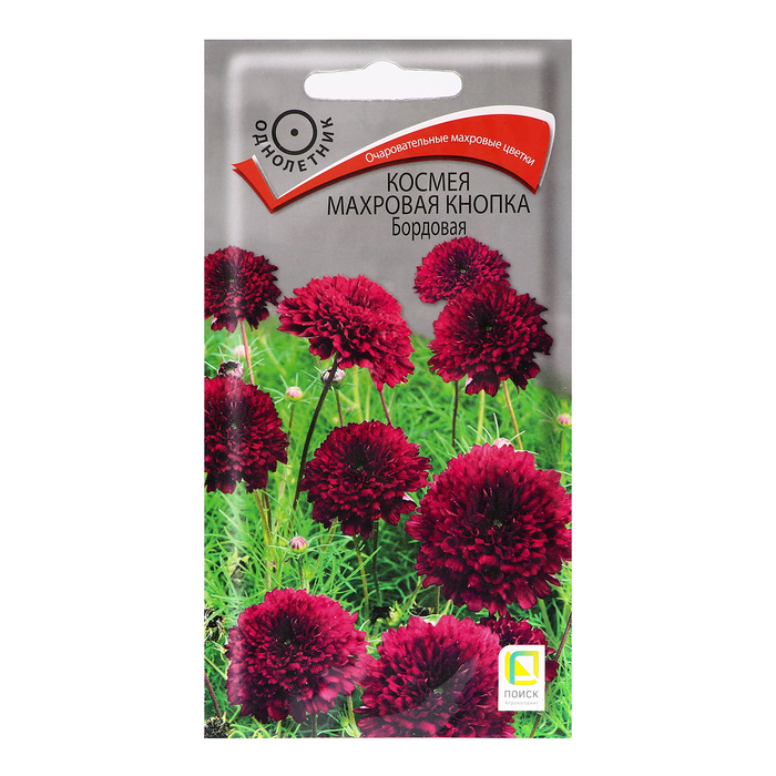 Семена цветов Космея