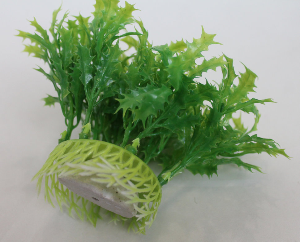 В4686 Б/С Аквариумные растения крупн.объёмные Н11см