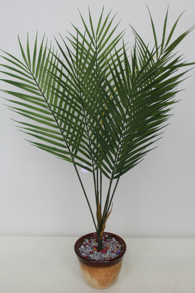Д10946 Б/С Куст пальмы комнатной 7в.Н76см(2шт)