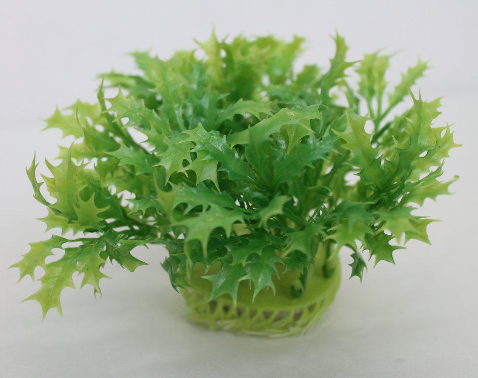 В4686 Б/С Аквариумные растения крупн.объёмные Н11см