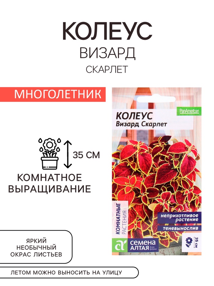 Семена комнатных цветов Колеус