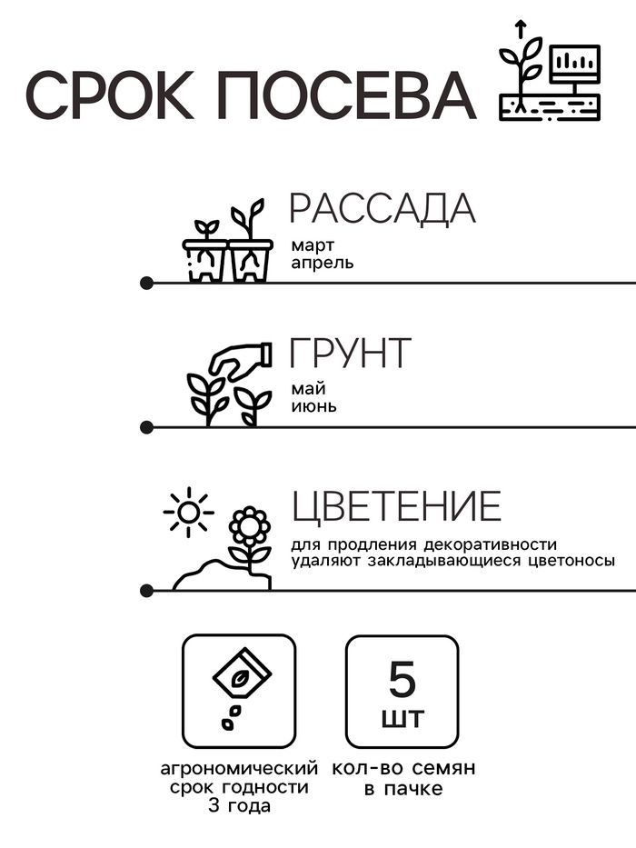 Семена комнатных цветов Колеус