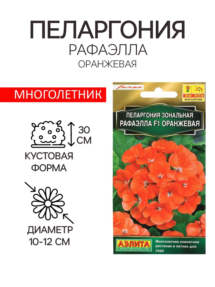 Семена цветов Пеларгония