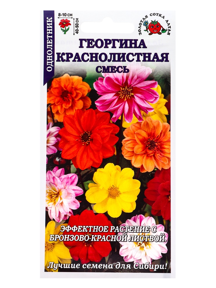 Семена Георгина «Краснолистная», смесь, 0.1 г, «Золотая Сотка Алтая»