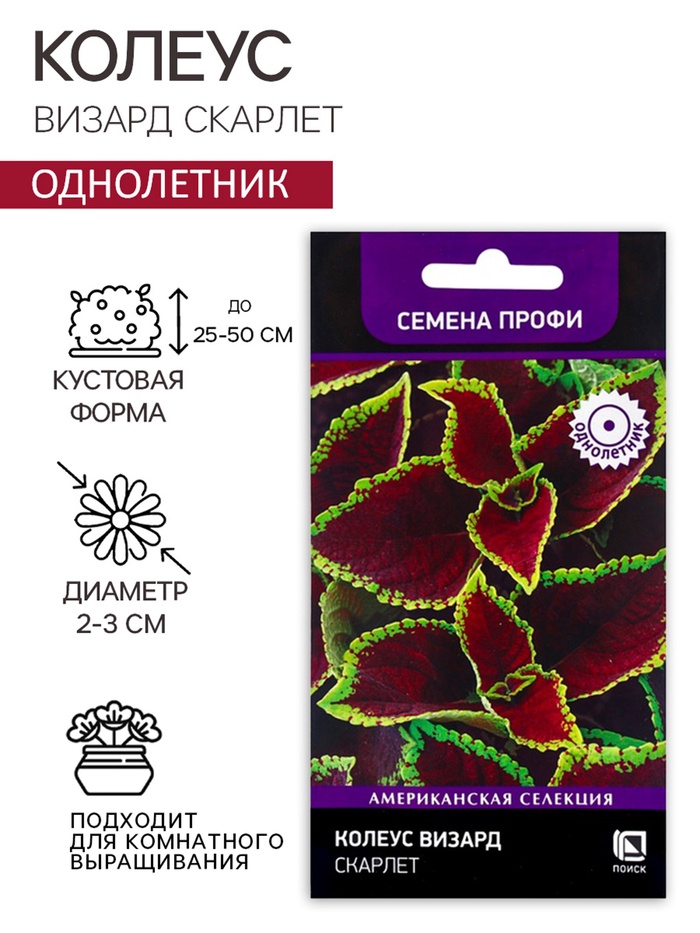 Семена цветов Колеус Визард Скарлет, 10шт