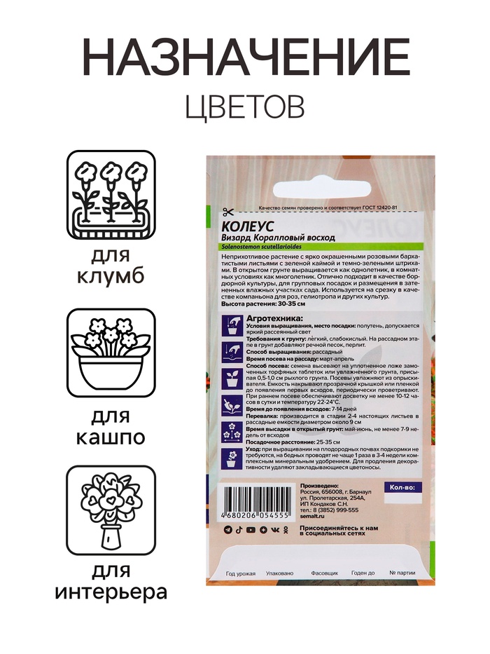 Семена комнатных цветов Колеус