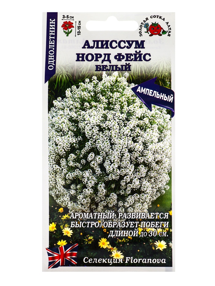 Семена Алиссум Норд фейс белый /Сотка/ 0,01г/*1800