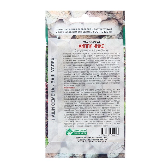 Семена молодило «Хиппи Чикс», 5 шт.