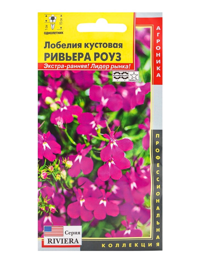 Семена Лобелия куст.