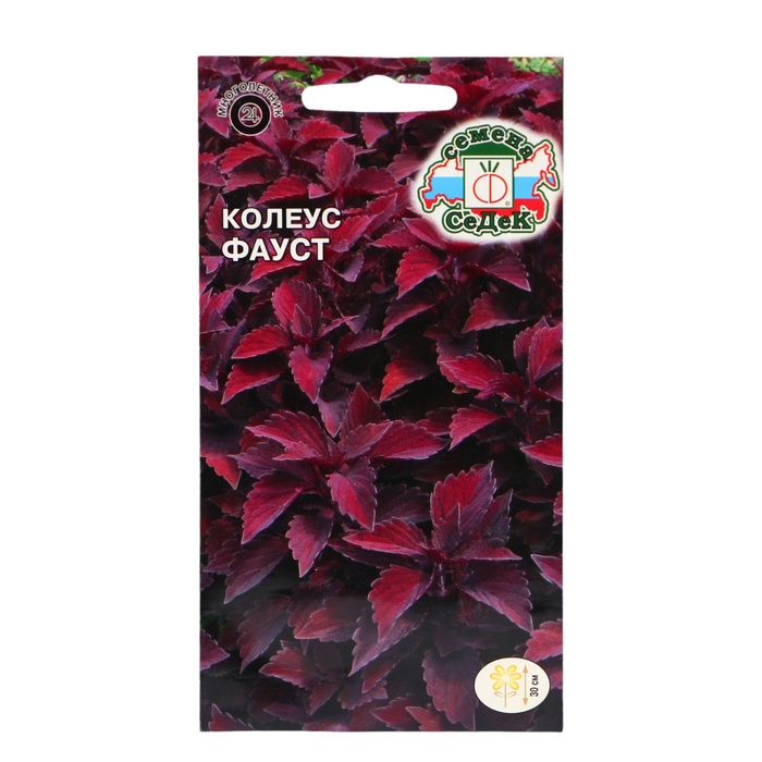Семена цветов Колеус