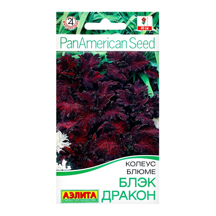 Семена цветов Колеус блюме