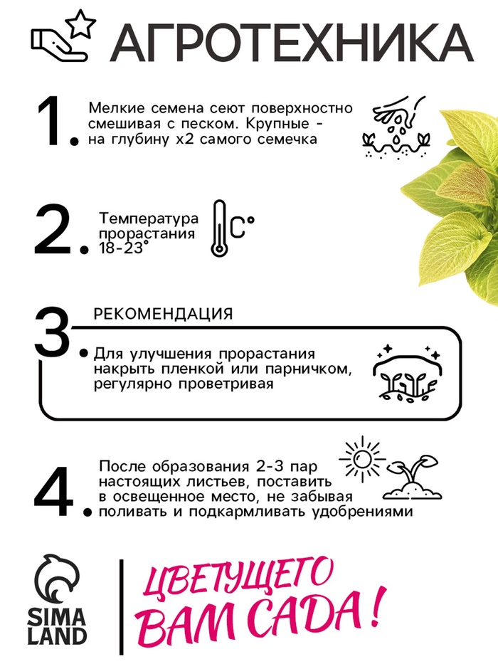 Семена цветов Колеус Визард Голден, 10шт