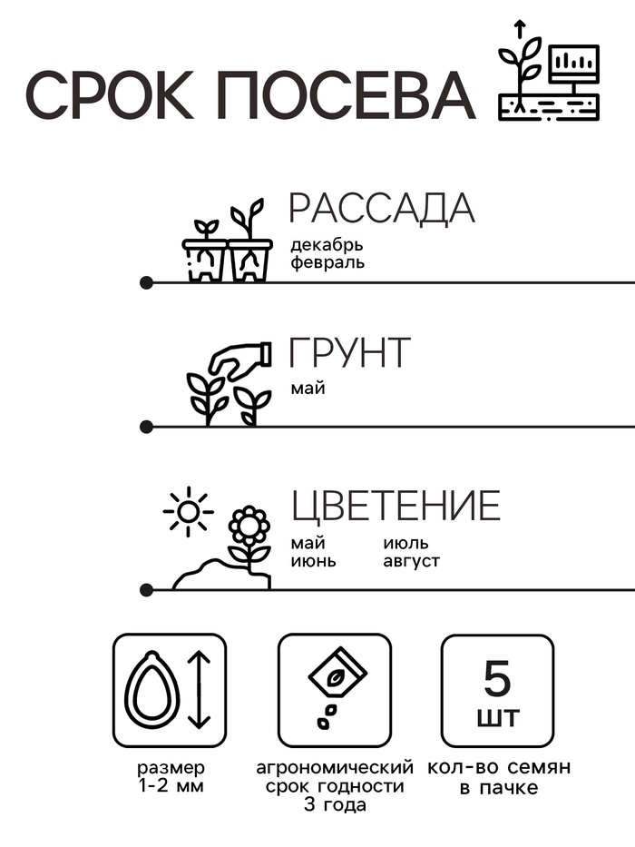 Семена комнатных цветов Пеларгония