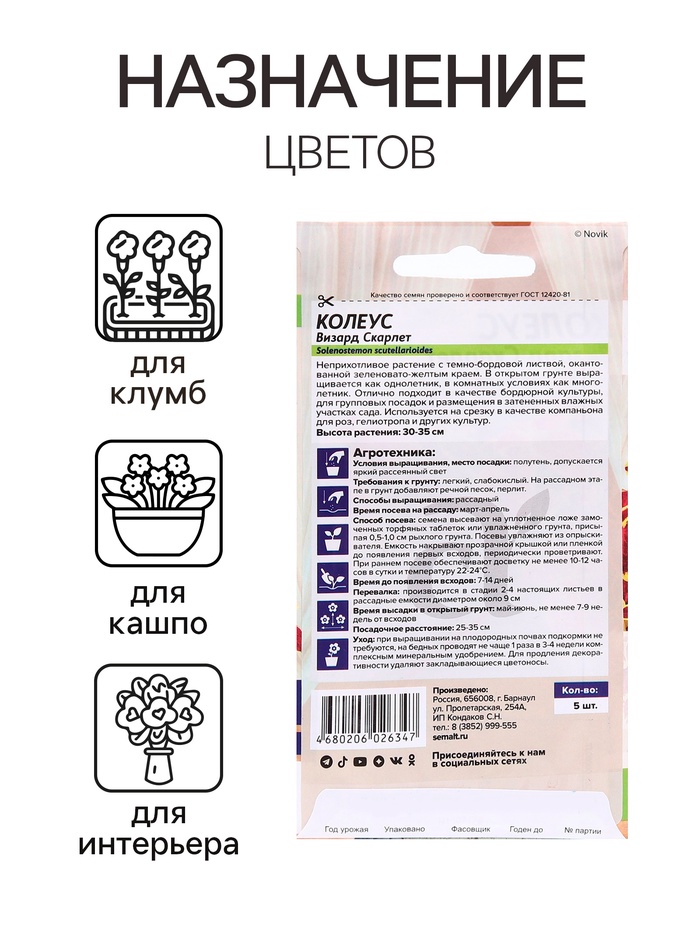 Семена комнатных цветов Колеус