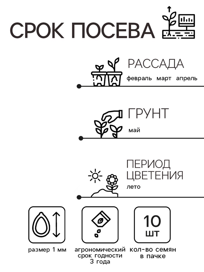 Семена цветов Колеус Визард Роуз, 10шт