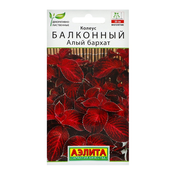 Семена цветов Колеус балконный