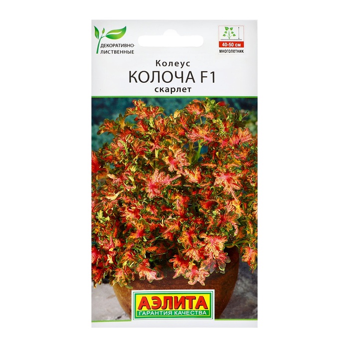 Семена цветов Колеус