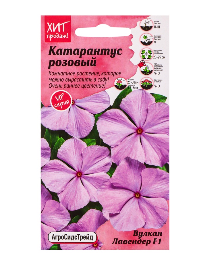 Семена цветов Катарантус розовый