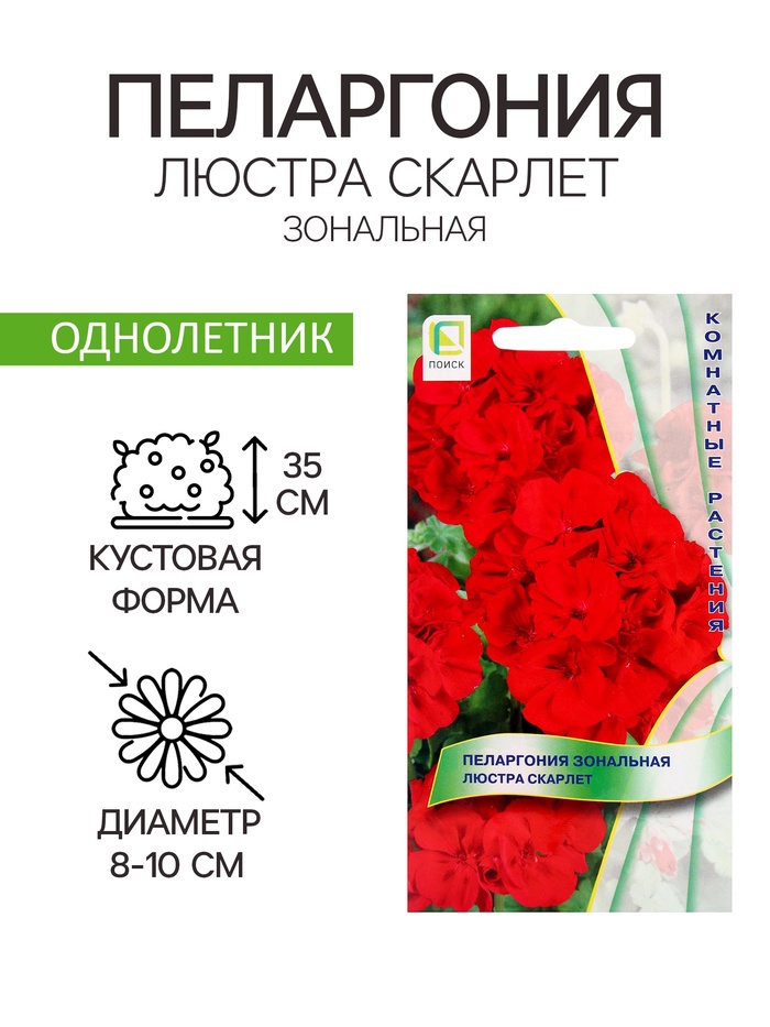 Семена цветов Пеларгония зональная Люстра Скарлет, 5шт