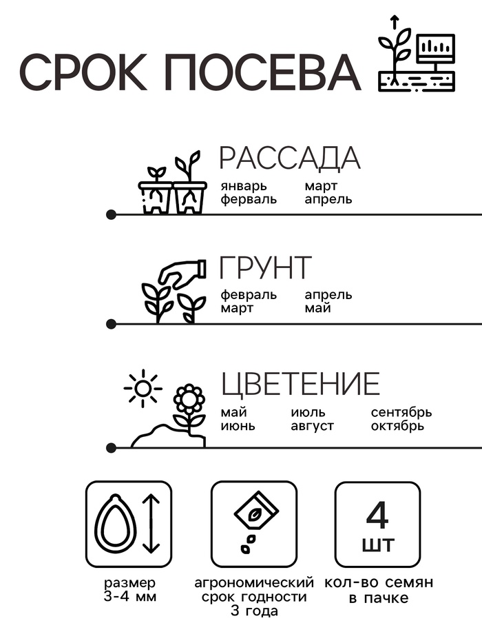 Семена комнатных цветов Пеларгония