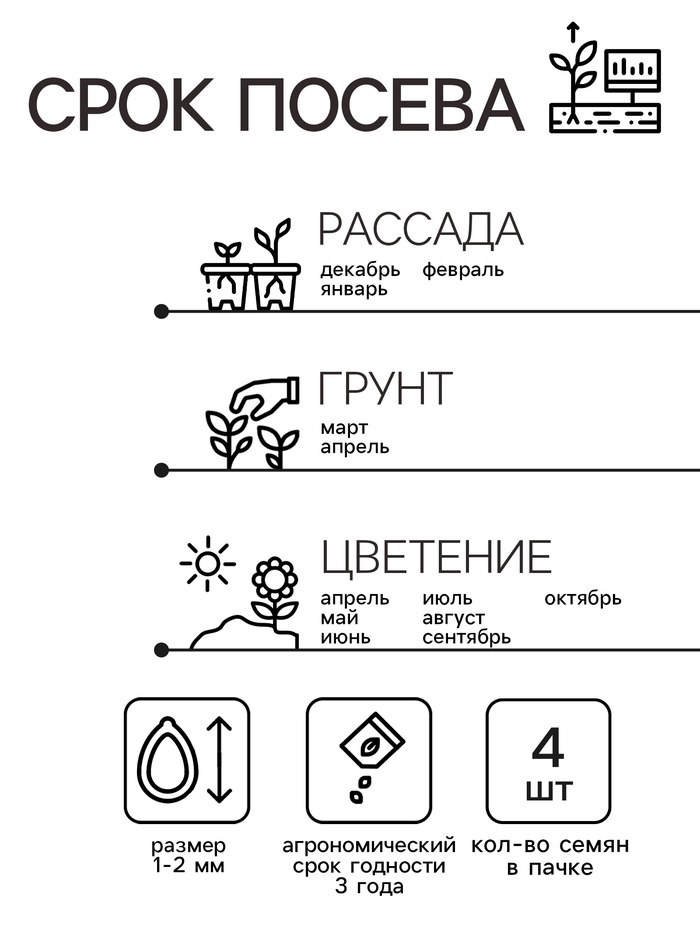 Семена комнатных цветов Пеларгония