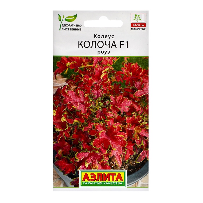 Семена цветов Колеус