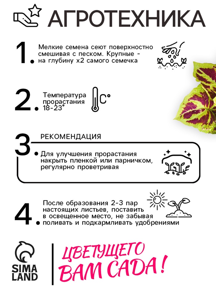 Семена цветов Колеус «Визард», мозаика, «Семена Алтая», цветной пакет, 5 шт.