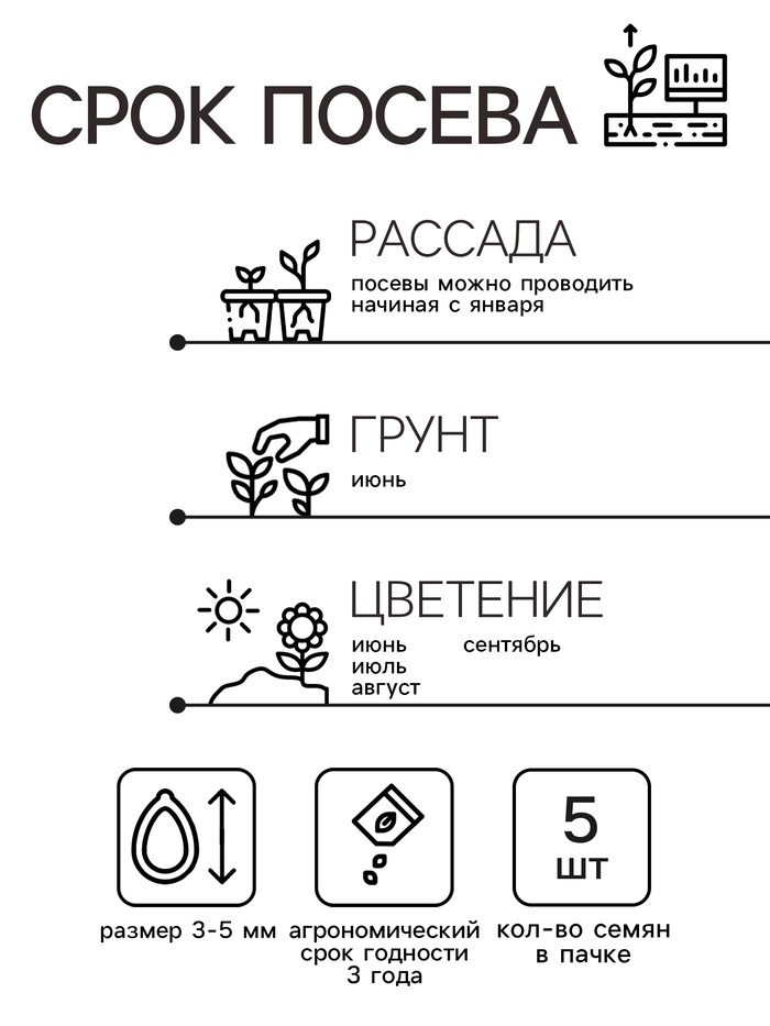 Семена цветов Пеларгония зональная Люстра Скарлет, 5шт