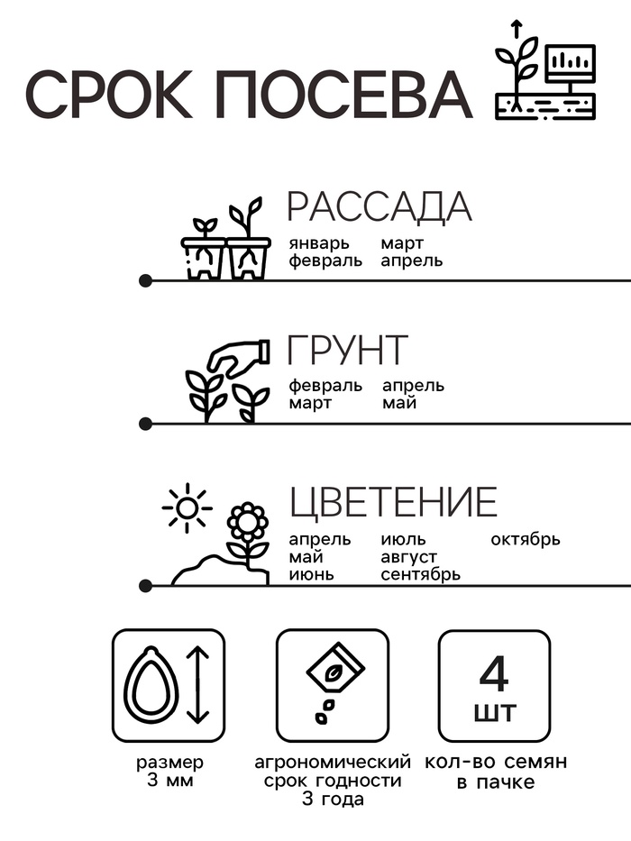 Семена комнатных цветов Пеларгония