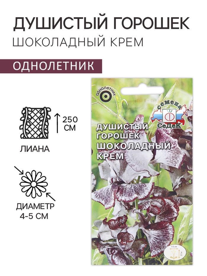 Семена цветов душистый горошек «Шоколадный крем», 0.5 г