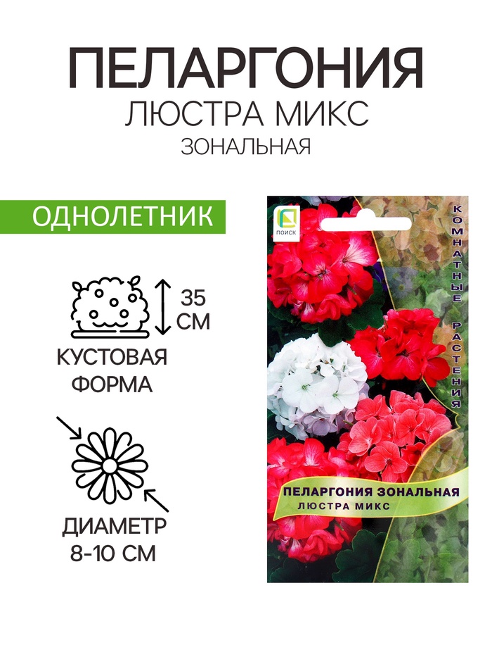 Семена цветов Пеларгония зональная Люстра микс, 5шт