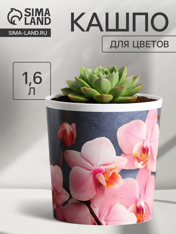 Кашпо для цветов «Орхидея», 1.6 л, d=14 см, h=14 см, пластиковое