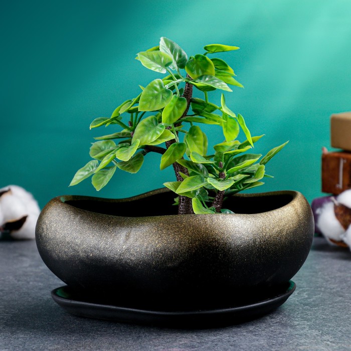 Горшок для для кактусов и суккулентов «Бонсай малый», 600 мл, 17×14×8 см, керамика, с поддоном, цвет чёрное золото
