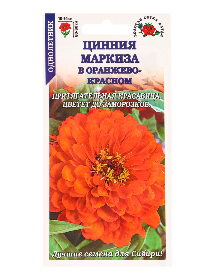 Семена Цинния Маркиза в Оранжево-красном /Сотка / 0,2г/ h-80см d-14см /*1200
