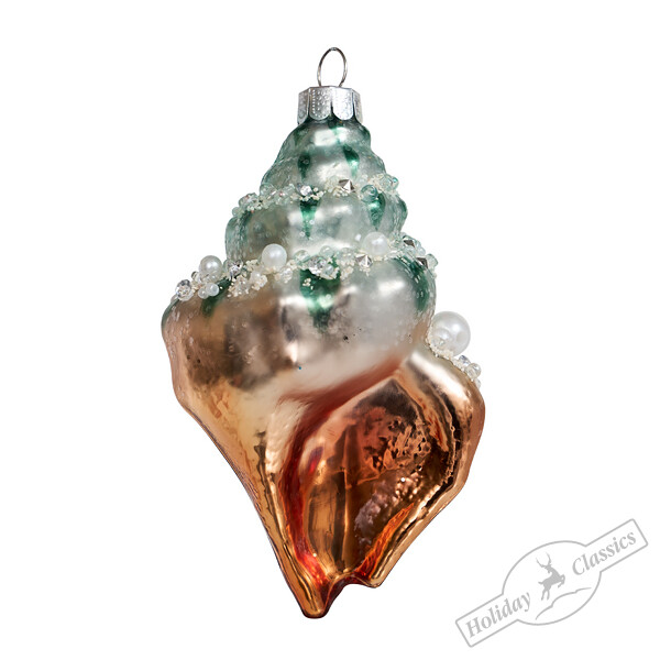 Ракушка Конча