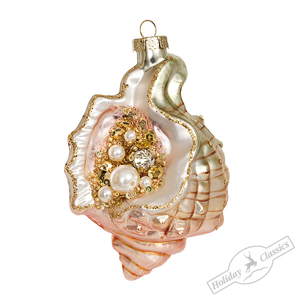 Ракушка Тритон