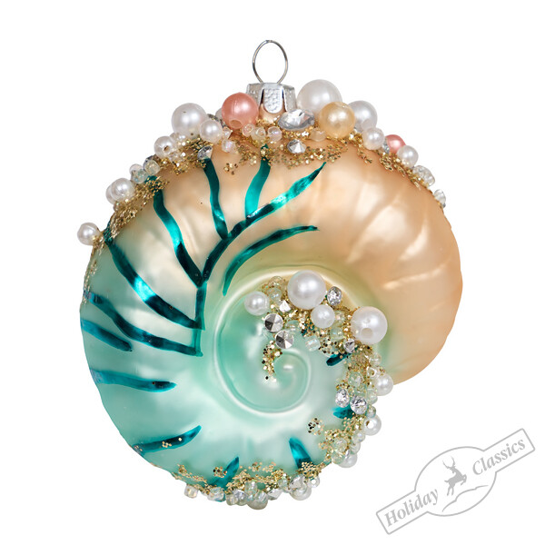 Ракушка Наутилус