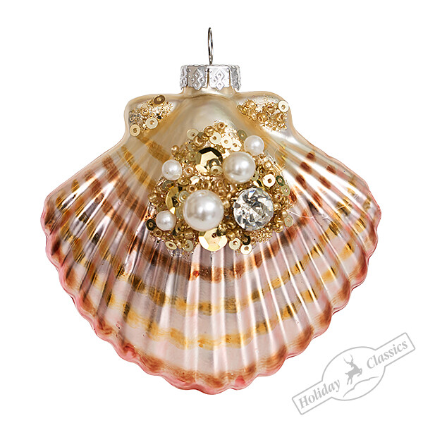 Ракушка Жемчужница