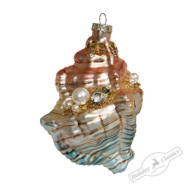 Ракушка Тритон