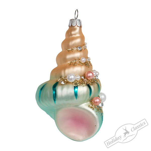 Ракушка Конча