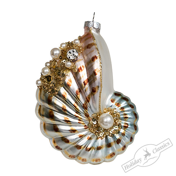 Ракушка Наутилус