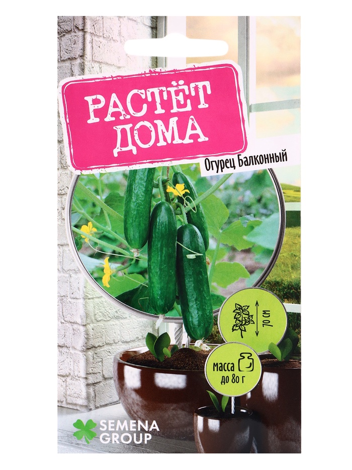 Семена огурец балконный «Растёт дома», 5 шт.