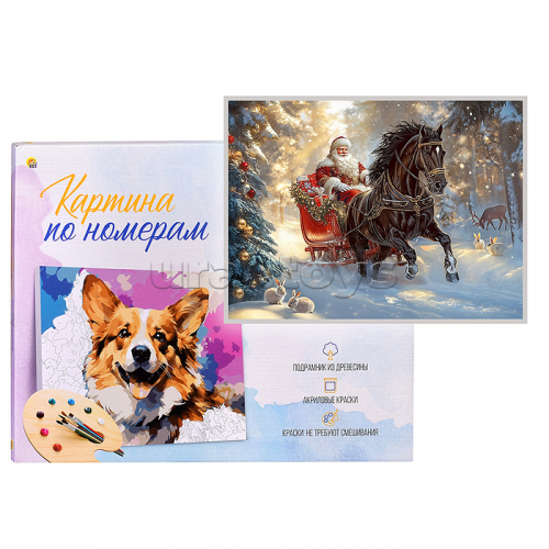 Холст с красками 22х30 по номерам 