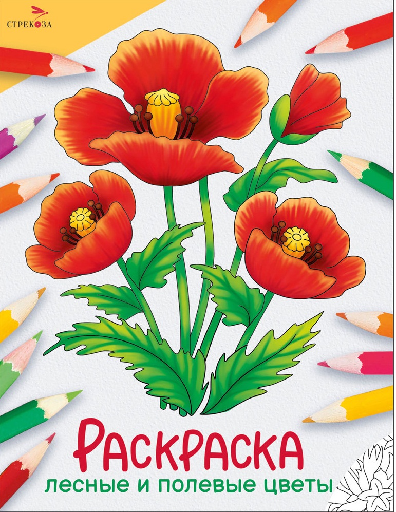 Окружающий мир. Раскраска. Лесные и полевые цветы