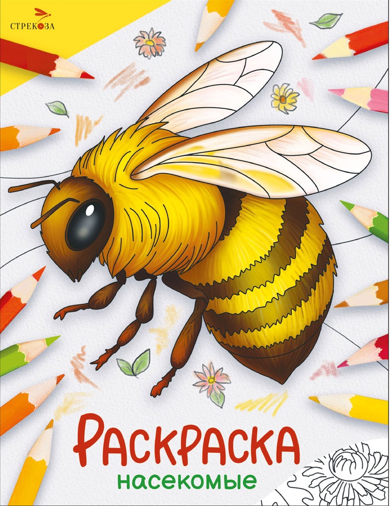 Окружающий мир. Раскраска. Насекомые