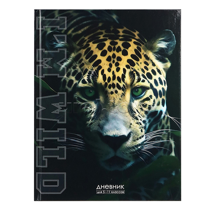 Дневник 5-11кл, тв обл, глянц/лам, 48л, Calligrata