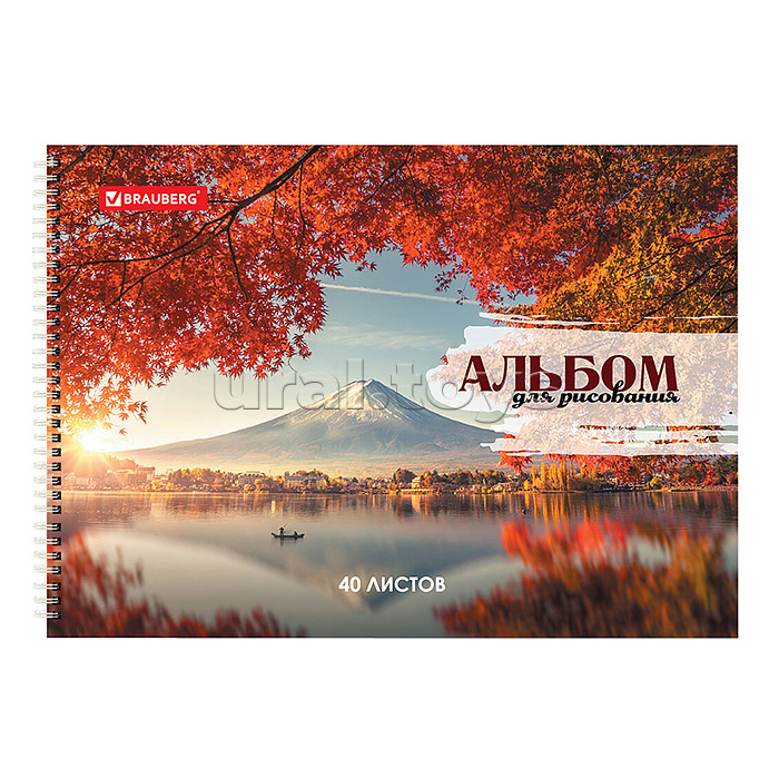 Альбом для рисования 40л., гребень, обложка картон, 195х285 мм,
