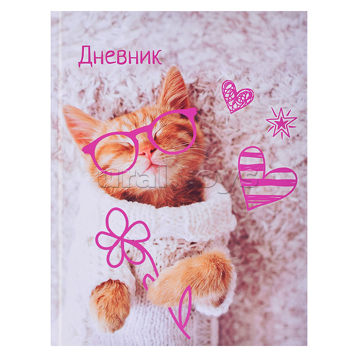 Дневник 1-4кл, тв обл. глянц/лам, 48л, Calligrata