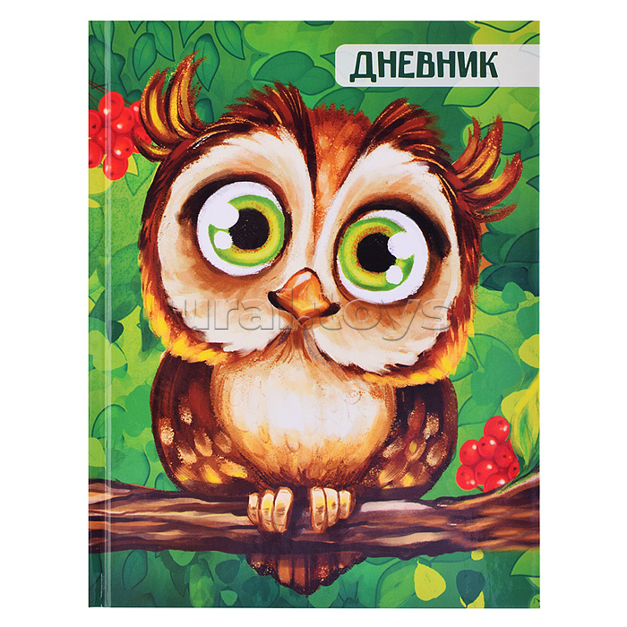 Дневник 1-4кл, тв обл .глянц/лам, 48л, Calligrata