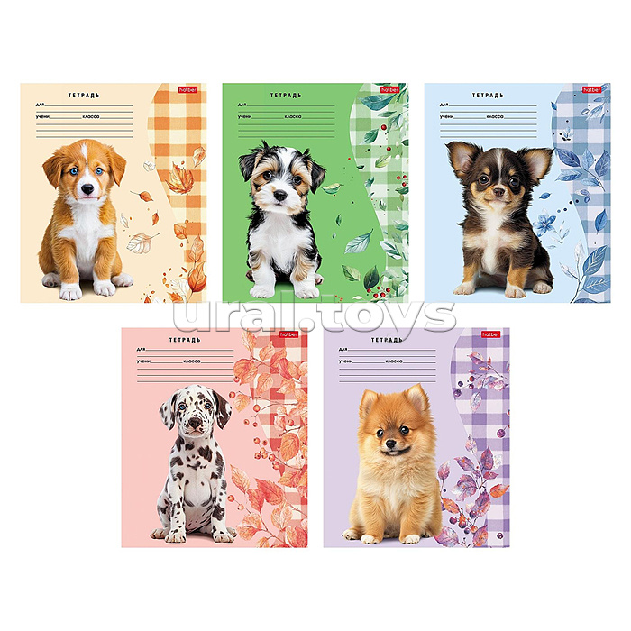 Тетрадь 24л линия